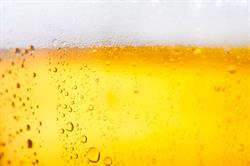Cerveceria Cañas, Las Rozas de Madrid