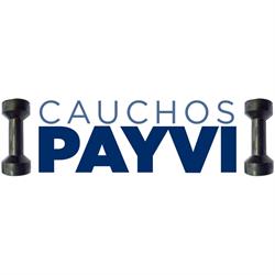 CAUCHOS PAYVI, Illescas