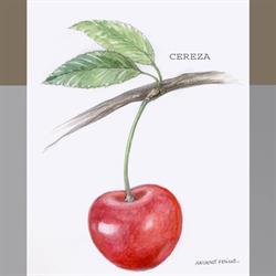 CEREZA JACA, Jaca