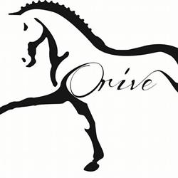Centro Ecuestre Orive, Aranguren