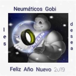 Rafael Carmelo Neumáticos Gobi, Lillo