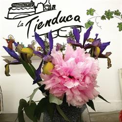 La Tienduca de Tanos, Torrelavega