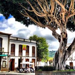 Pinomaa, Teror