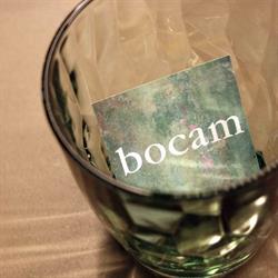 Bocam, Figueres