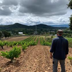 Bodega Feo, San Andrés de Montejos