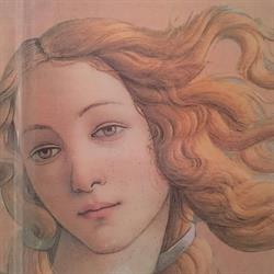 Cafeteria Venus, Zaragoza