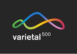 VARIETAL 500, El Pla de Manlleu