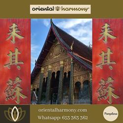 Oriental Harmony Pamplona, Ansoain