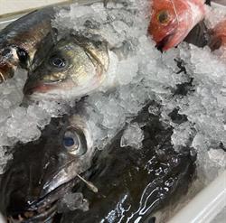 Parrillada Seoane, Carballos