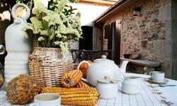 A Casa de Filomena, Escarabote