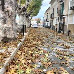Alojamientos Los Caños de Orce