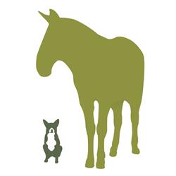 Platero & Co, Gaucín