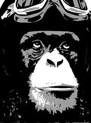 Monkey, Betxí