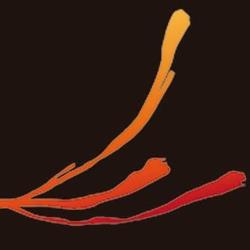 Restaurante Saffron - Mediterranean Food, Madrid