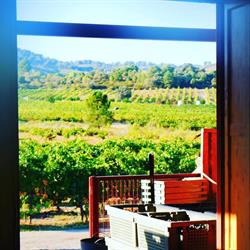 Bodega Finca Fuentegalana, Navahondilla