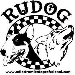 RUDOG Adiestramiento, Zaragoza