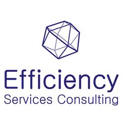 Efficiency Services Consulting, Bullas