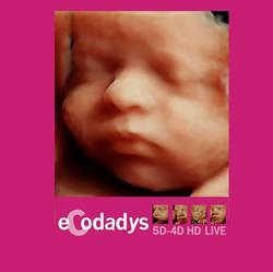 Ecodadys 5D-4D Ciudad Real