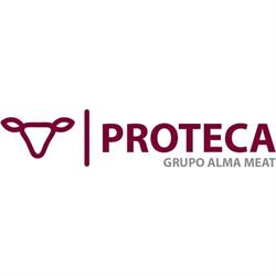 La Protectora S.A., Salinas de Pamplona