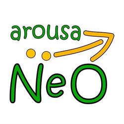 Arousa NeO, Ribeira