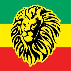 ROTOTOM SUNSPLASH, Benicàssim