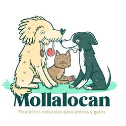 MollaloCan, O Porriño
