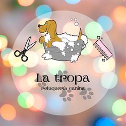 Peluqueria Estetica Canina La Tropa, Arganda del Rey