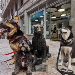 Corner Dogs, Navalcarnero