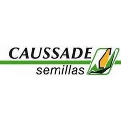 Caussade Semillas, León