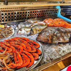 Bar Morales, Puerto de Mazarrón