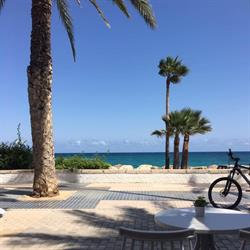 L'Espill gastro bar, Altea