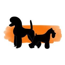 Bella Can Peluquería Canina, Marbella