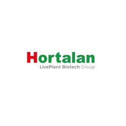 Hortalan med, S.L., Almería