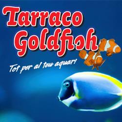 Tarraco Goldfish, Tarragona