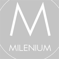 Nuevo Milenium 2007 S.L., Estepa