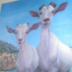 Quesería del Valle de Tibi