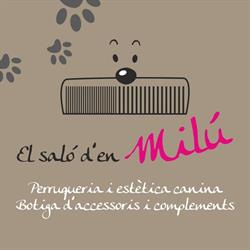 El saló d'en Milú, Tarragona