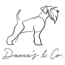 Dama's, Terrassa