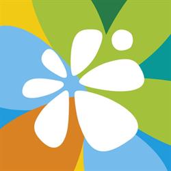 Visit Elche