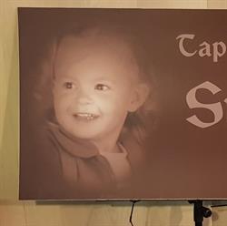 Taperia Stefany, Vigo