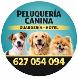 Peluquería canina Ricardo Varona, Torremolinos