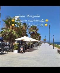 New Palco, Torrevieja