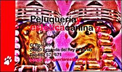 Peluqueria Y Estetica Canina, Arganda