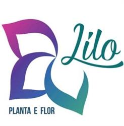 Lilo, Teijeiro