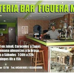 Figuera Major s.c.p., Mataró