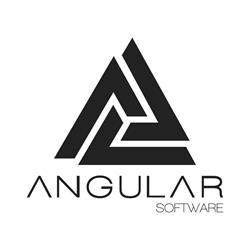 Angular Software - Diseño Web, Baza