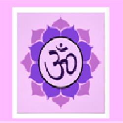 Anamaya Yoga y Pilates, Pinto