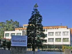 Ibaigane, Bilbao