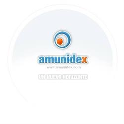 Amunidex, S.L. - Diseño de Páginas Web, Cordovín