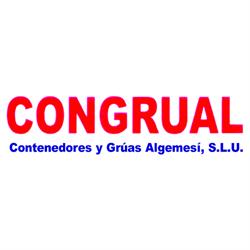 Contenedores Y Grúas Algemesí S L U